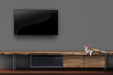 Oturma odası TV duvara yavru kedi ahşap masa medya fu üzerindeki ışık saçtı