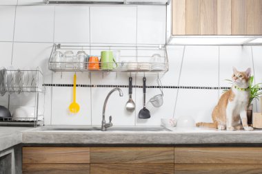 Beyaz mutfak lavabo iç