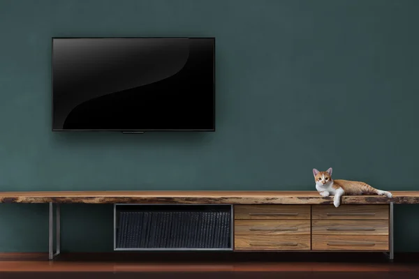 Oturma odası TV duvara yavru kedi ahşap masa medya fu üzerindeki ışık saçtı