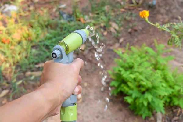 Regar as plantas com pistola de pulverização — Fotografia de Stock