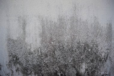 eski çimento duvar rengini