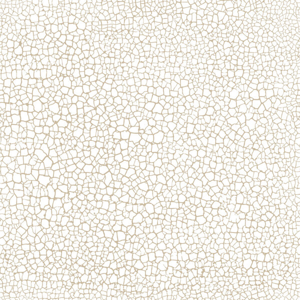 треснувшая векторная текстура на белом фоне
