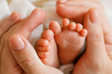 Yetişkin ellerinin, yeni doğmuş bir bebeğin minyatür ayaklarını yumuşak, beyaz bir arka plana nazikçe sarıp koruyucu bir beşik oluşturması ve ebeveyn bağının sıcaklığını vurguluyor..