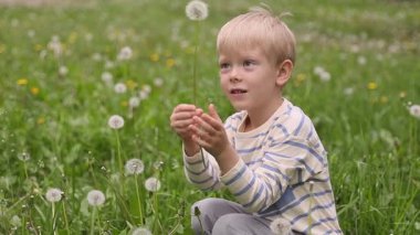5 yaşındaki bir çocuk, bir karahindiba çayırında diz çöker, bir gözünü karahindiba ile kaplayarak, saf, nazik bir çocukluk sevinci yayar..