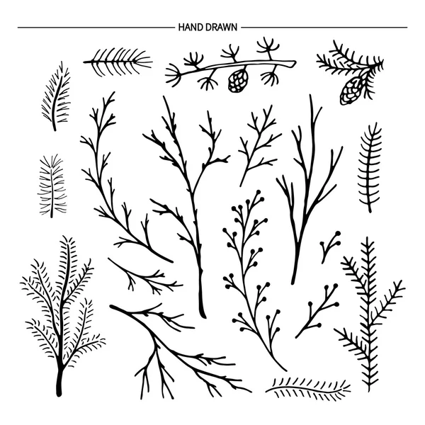 Hand drawn tree branches collection. — Stock Vector