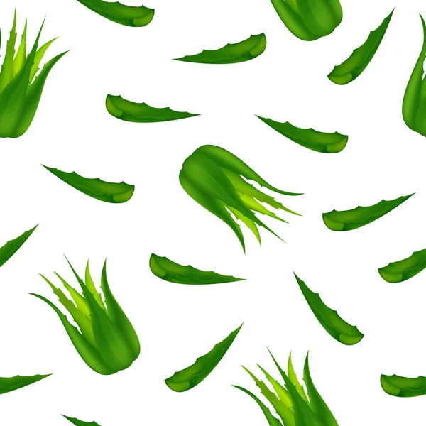 Aloe vera na białym tle — Wektor stockowy