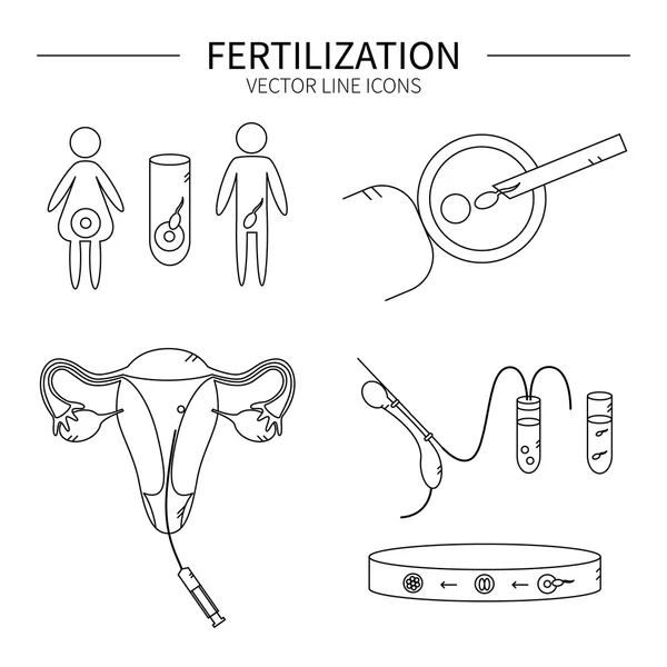 Befruktning linje ikoner — Stock vektor