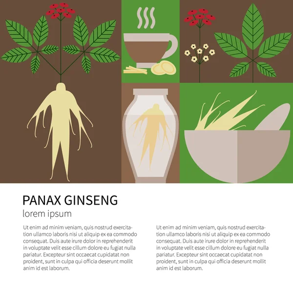 Panax Ginseng.Icone piatte — Vettoriale Stock