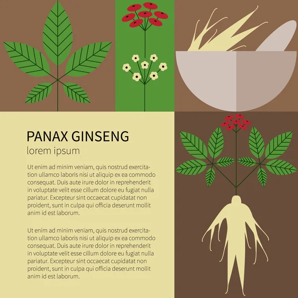 Panax Ginseng.Icone piatte — Vettoriale Stock