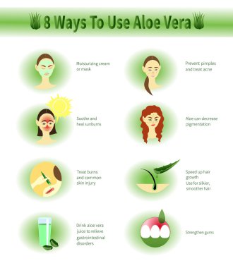 Aloe Vera Infographic. Aloe kullanır.