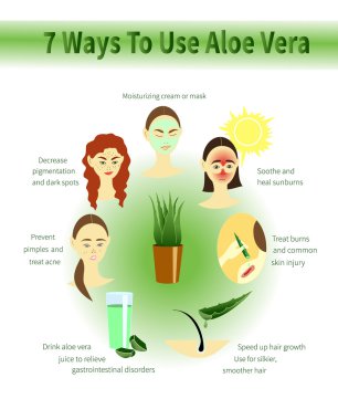 Aloe Vera Infographic. Aloe kullanır.