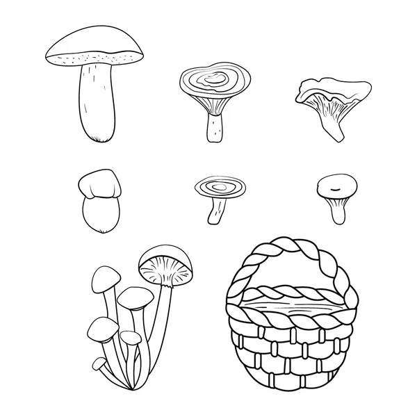 Wilde paddenstoelen — Stockvector