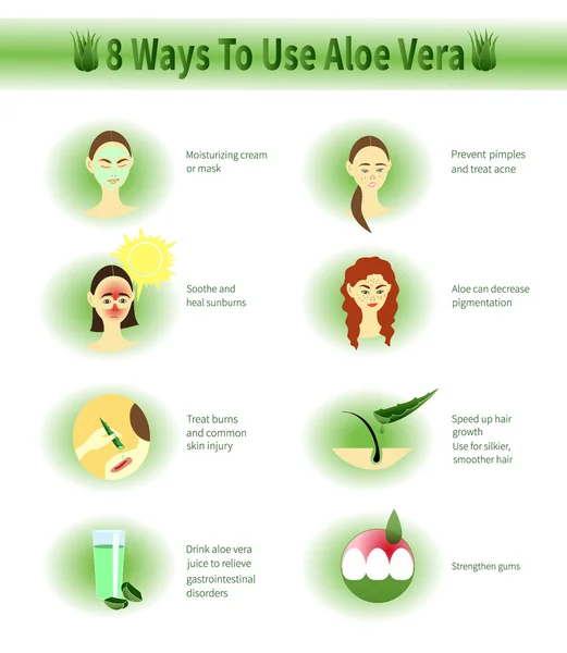 Infographic της Aloe Vera. Χρήσεις της αλόης. — Διανυσματικό Αρχείο