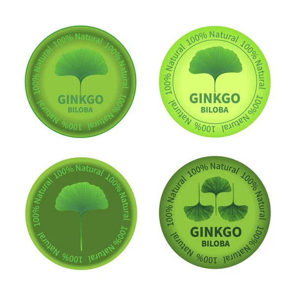 Etiquetas de ginkgo biloba —  Vetores de Stock