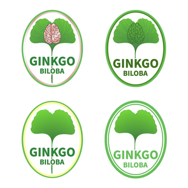 Etiquetas de ginkgo biloba —  Vetores de Stock