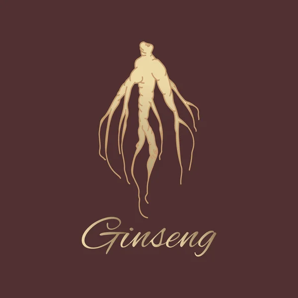 Ginseng Kökü