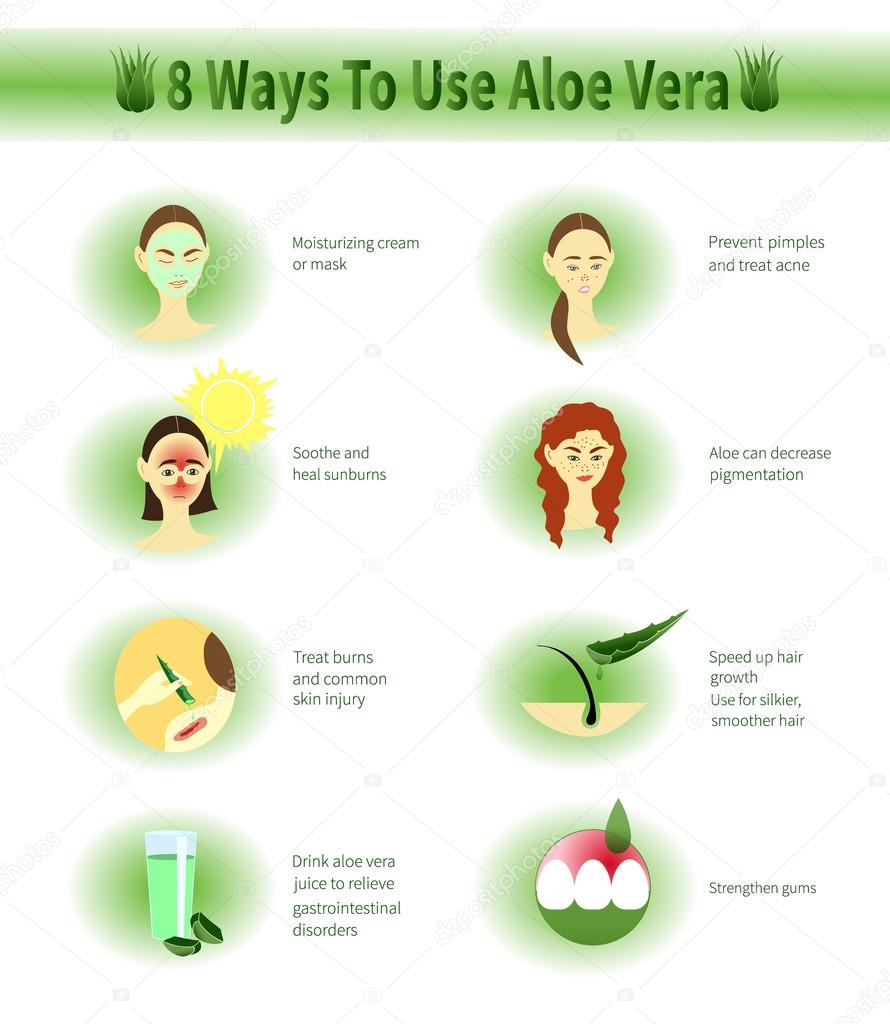 Aloe Vera infographic.Aloe Uses.