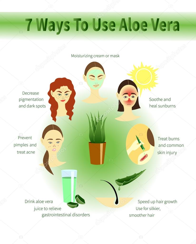 Aloe Vera Infographic Aloe Uses Stock Vector C Ninafedorova