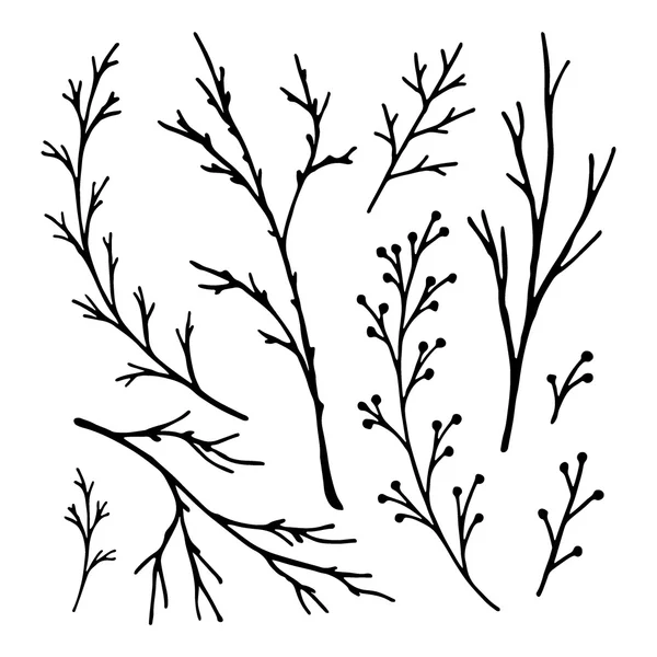 Hand drawn tree branches collection. — Stock Vector