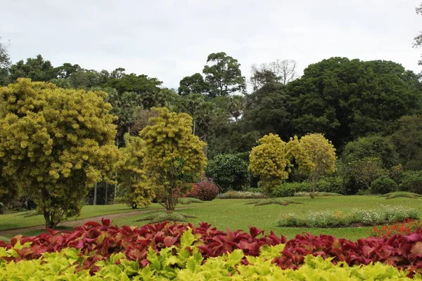 Beautiful Nature Island Sri Lanka Ceylon — Stock Photo, Image