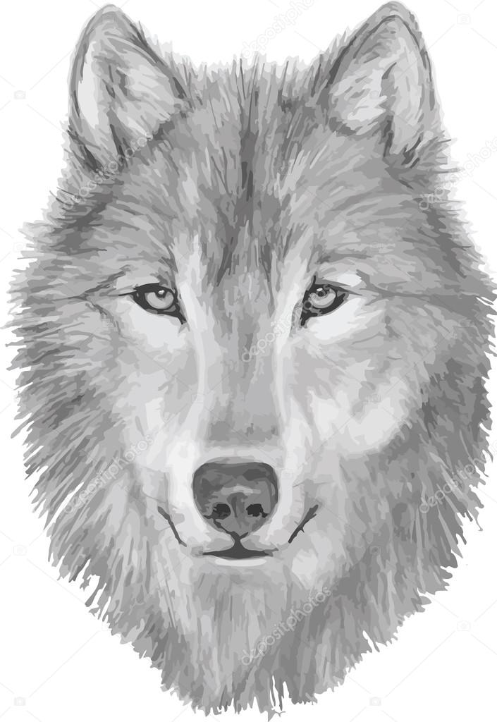 10 180 Wolf Face Vector Images Free Royalty Free Wolf Face Vectors Depositphotos