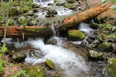 Elma Bahçesi Şelalesi Yolu