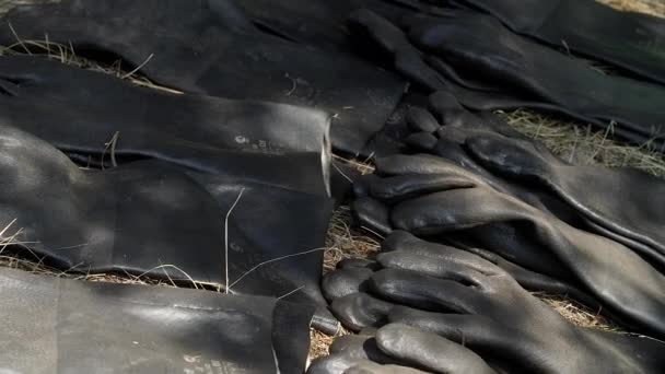 Un sacco di guanti di gomma nera per la pulizia spazzatura a terra e erba secca. — Video Stock