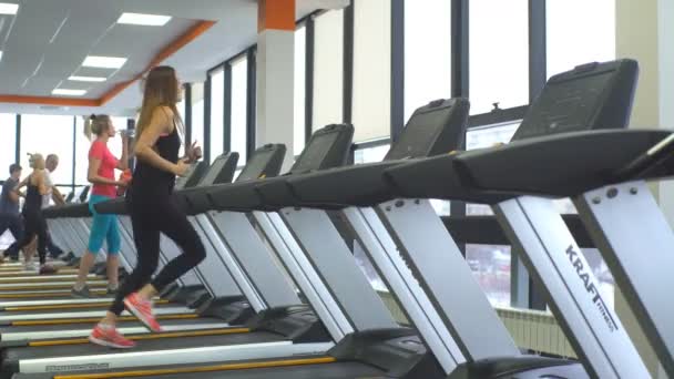 Chica haciendo ejercicio en una cinta de correr en el gimnasio — Vídeos de Stock