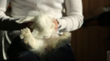 genç adam ve beyaz tavşan