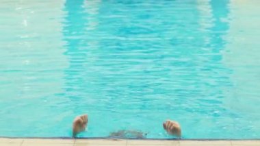 Şampiyon havuzdan çıkar