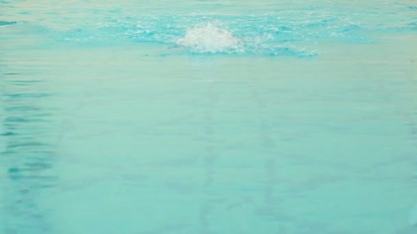 Uma menina está nadando o golpe de borboleta na piscina — Vídeo de Stock