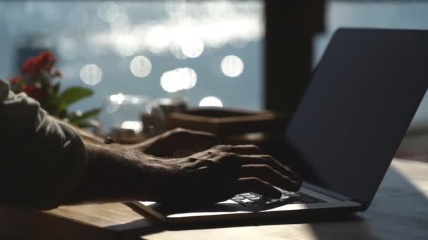 Jonge zakenman met behulp van zijn laptop aan de waterkant op zee achtergrond — Stockvideo