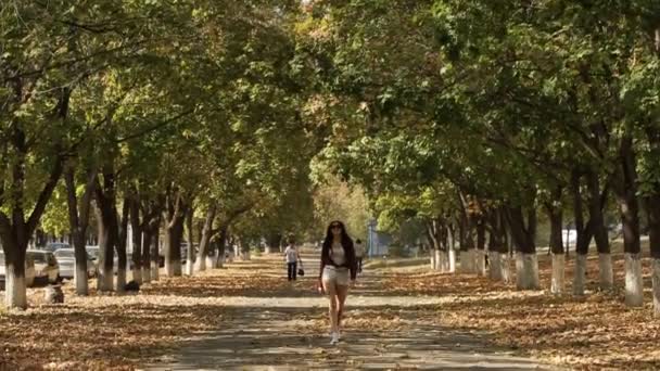 Девушка в шляпе гуляет по осеннему переулку — стоковое видео