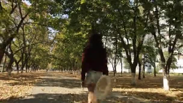 Ragazza passeggiate sul vicolo autunno — Video Stock