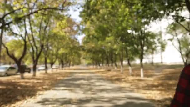 Chica entra en la distancia en un callejón de otoño — Vídeos de Stock