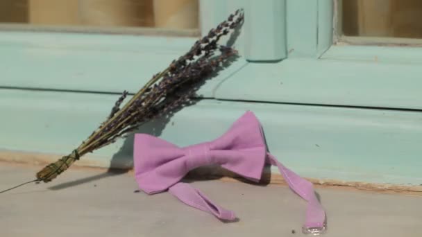 Oyuncak kelebek kravat — Stok video