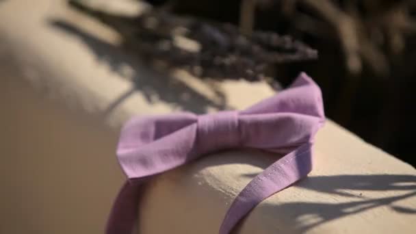 Hračky motýl růžová kravata — Stock video