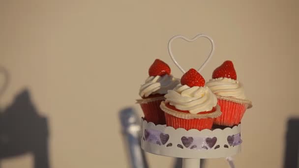 Deliciosos pasteles en un cóctel de boda — Vídeos de Stock