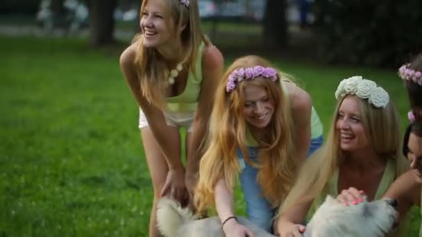 Meninas bonitas brincam com cão no parque — Vídeo de Stock