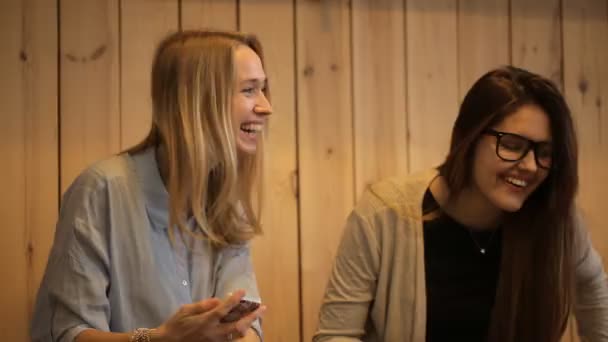 Duas meninas bonitas sorrindo e usar laptop — Vídeo de Stock