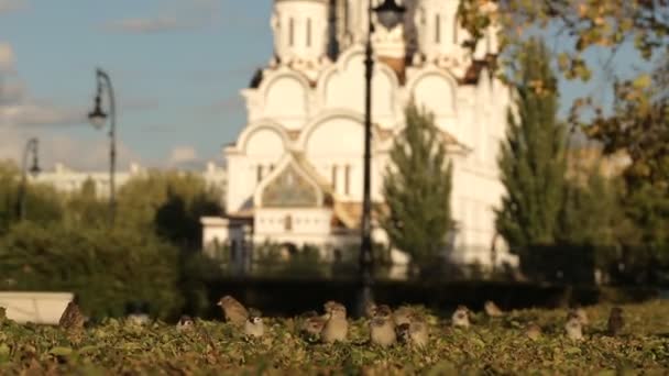 Igreja Ortodoxa na Rússia — Vídeo de Stock