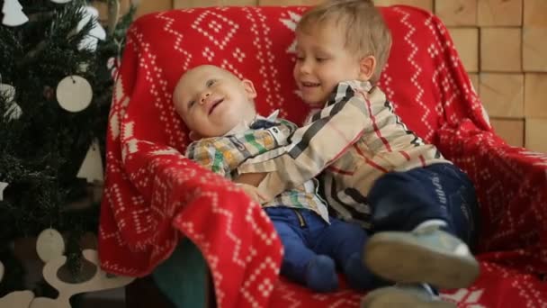Två små bröder sitter på en stol i studion — Stockvideo