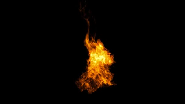 Realistic Fire with alpha, Full HD. Fire Animation — Stock Video