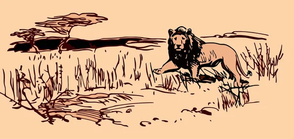 Lion lovecké safari vektorové ilustrace — Stockový vektor