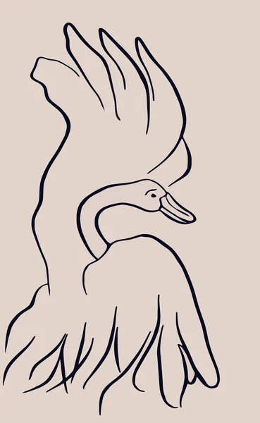 Зарисованный лебедь. Вектор . — стоковый вектор