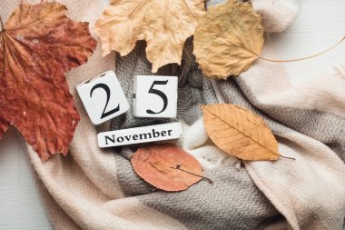 Sonbahar ayının yirmibeşinci günü Kasım.