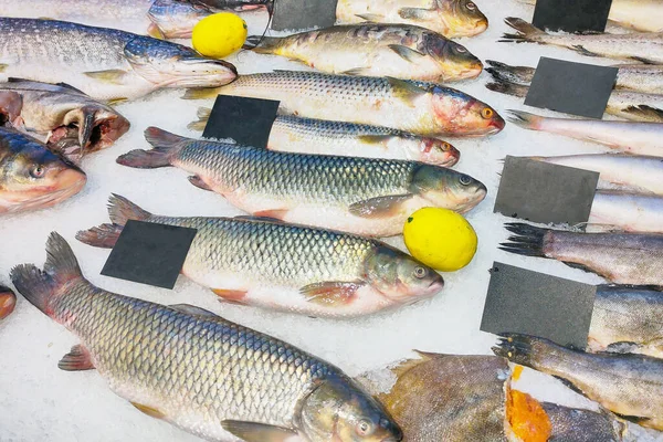 Fresh fish mullet, grass carp for sale lies on ice in a store.