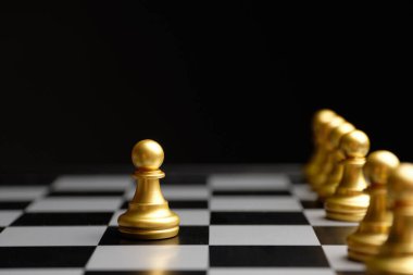 Satranç taşlarının seçilmiş lideri konsepti..