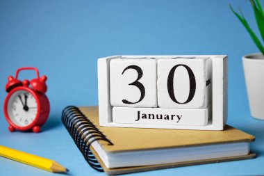 Kış ayının otuzuncu günü takvim Ocak.