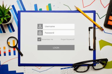 Muhasebe sitesine giriş ve yetki kavramı.
